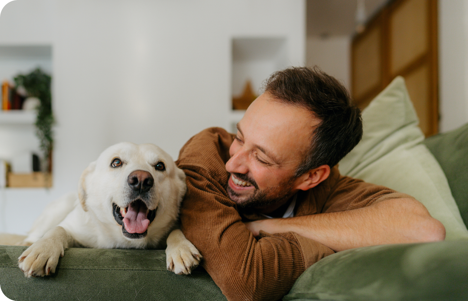 Dog-Productpage-Header-DESKTOP