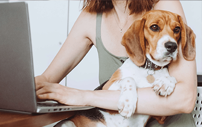 Pet insurance decoded: what all those policy terms actually mean